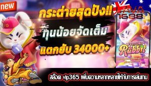 สล็อต vip365 เพิ่มความหลากหลายให้กับการเล่นเกม